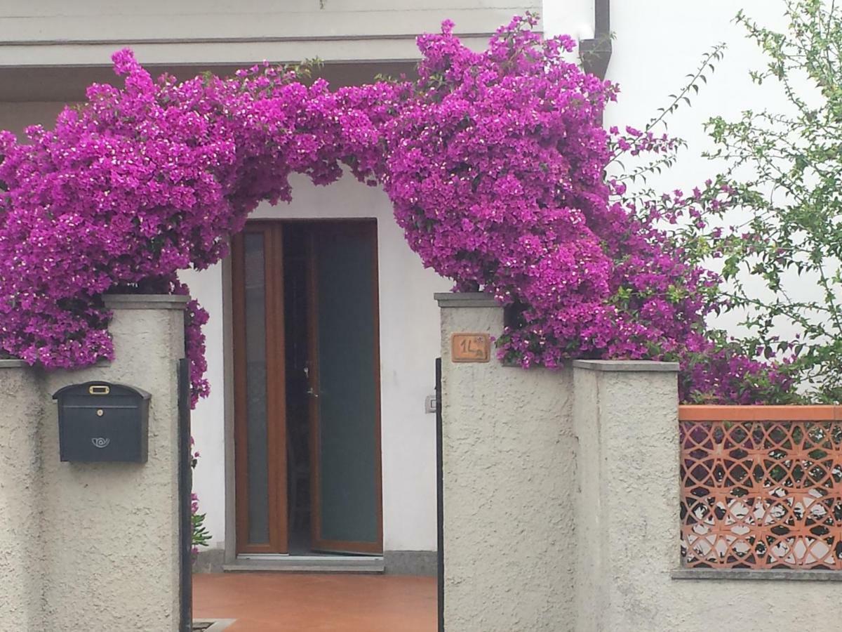 Villa Lory Albinia Exterior foto